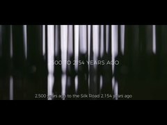 การส่งเสริมบริษัท